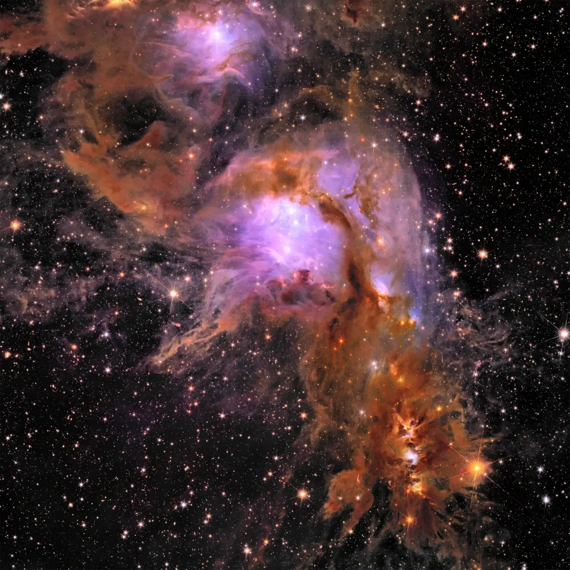 euclid cluster